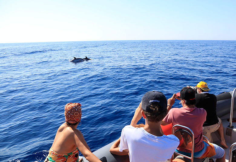 En pleine mer et au plus près des dauphins !