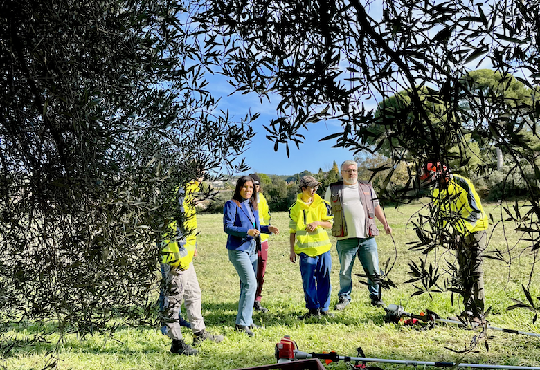 L’huile d’olive 13 Habitat en préparation à Château-Gombert !