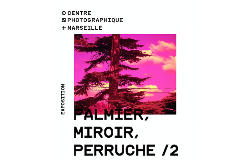 Exposition  « Palmier, Miroir, Perruche / 2 »