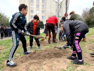 Une forêt plantée au cœur de la cité La Marie