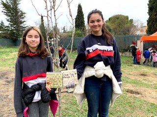 Une forêt plantée au cœur de la cité La Marie