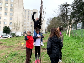 Une forêt plantée au cœur de la cité La Marie