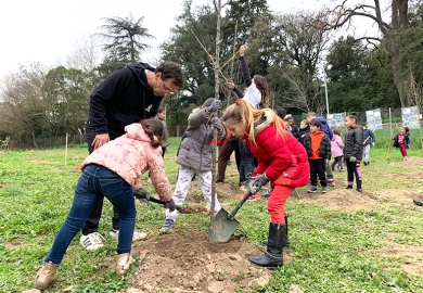 Une forêt plantée au cœur de la cité La Marie