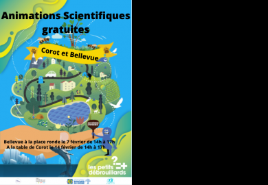 Animations scientifiques gratuites