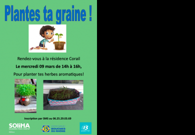 Plante ta graine